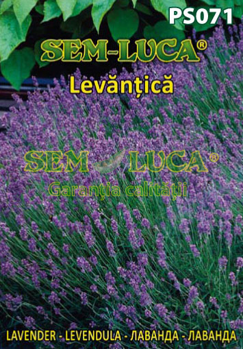 Levantica